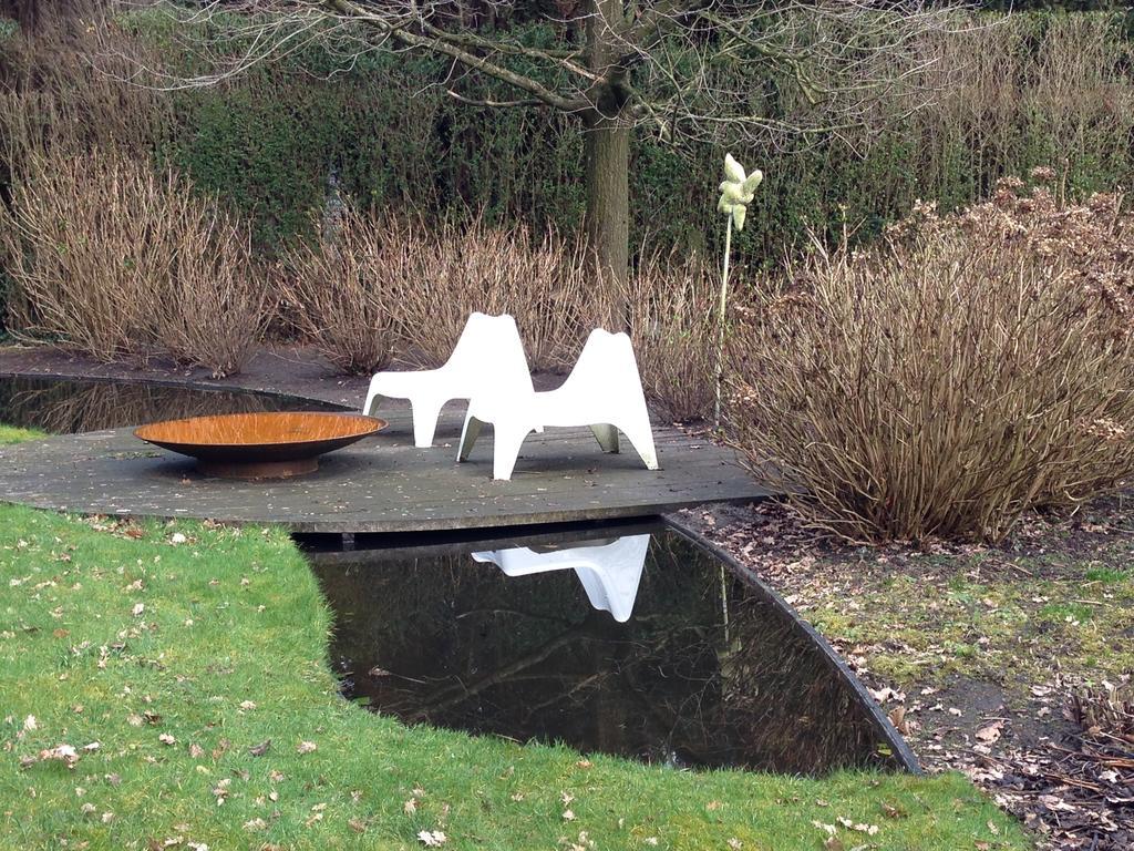 De Witte *