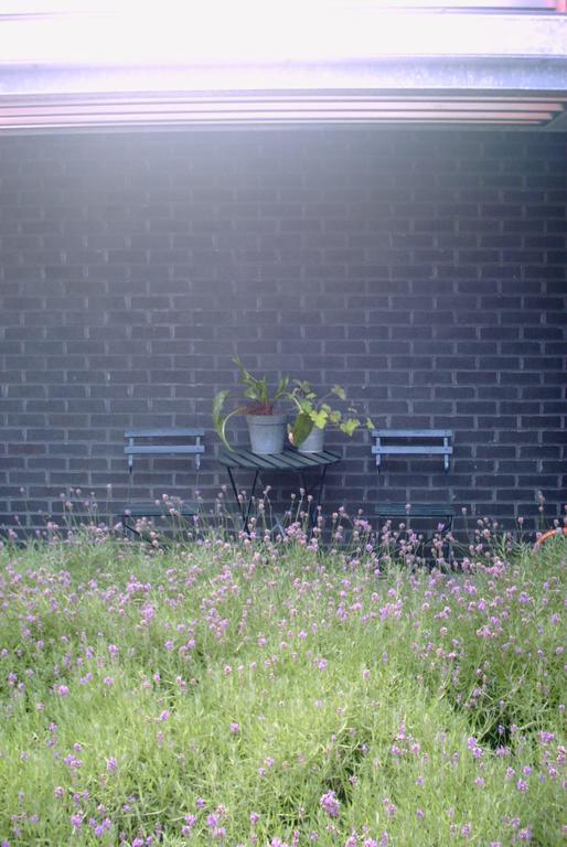 Bed & Breakfast De Witte *